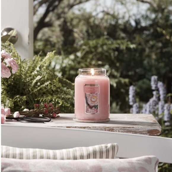 Yankee Candle - Fresh Cut Roses - High Intensity Candle - Picture 5 of 6